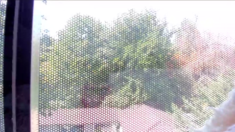 sassyt33n  19-08-2022